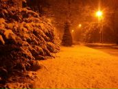 №38 Олег Савченко 15.02.1990: профиль, фото, статус - ВКонтакте