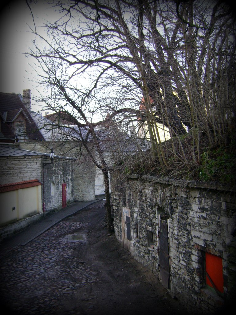 Ksenya Veter | Москва