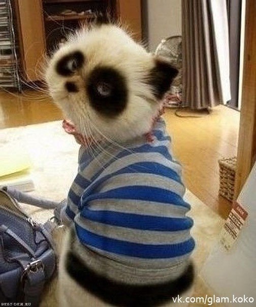 Annushka Smirnova Angel | Москва