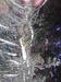 Славик Клыменко фотография #34