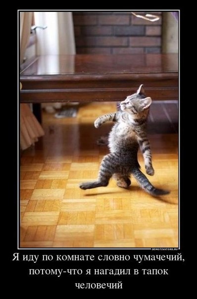 Саша Сидоров @sitro@ | Симферополь