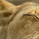 №109, Яна Алексеева, Обнинск №109, Яна Алексеева, Обнинск