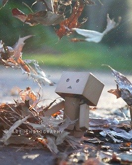 Валерий Перебейнос | Донецк