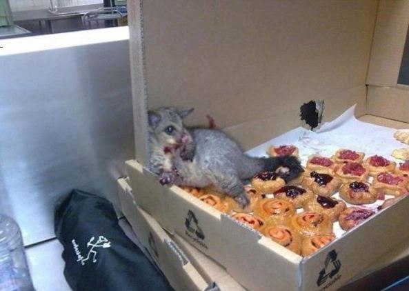 Евгения Погодина | Нижний Новгород