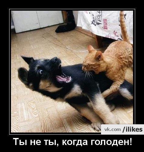 Константин Собко | Пермь