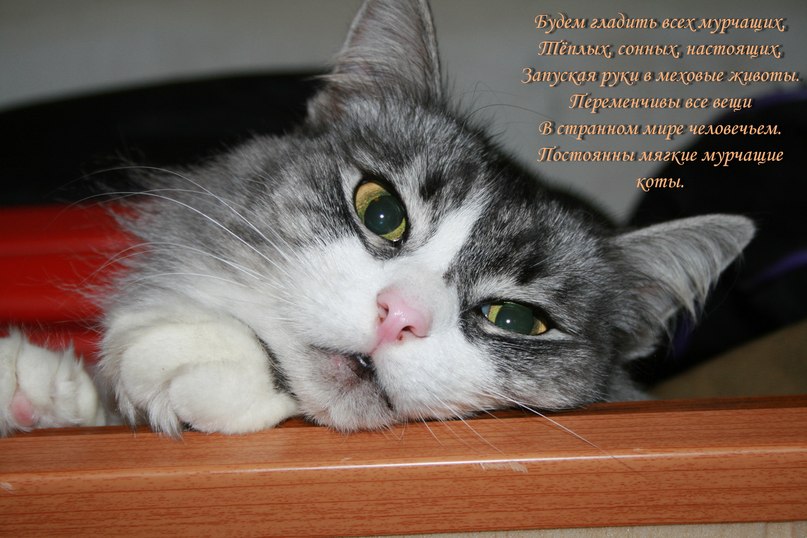 Ксения Орлова | Люберцы