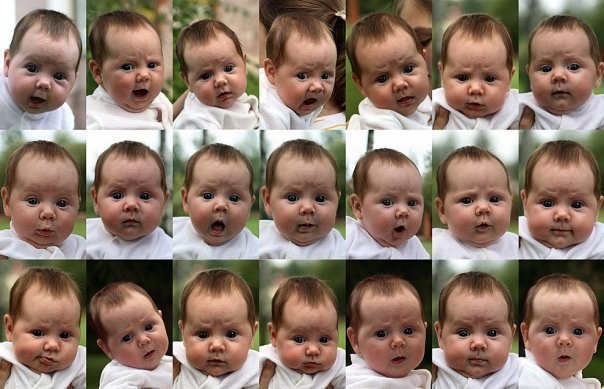 Лох Петрович | 