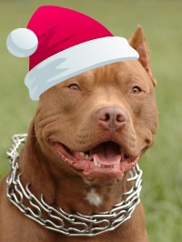 №1, Змей Хулиган №1, Змей Хулиган