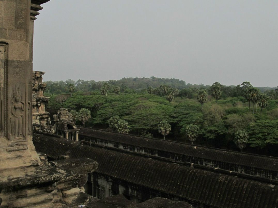 Денис Игнатьев | Санкт-Петербург