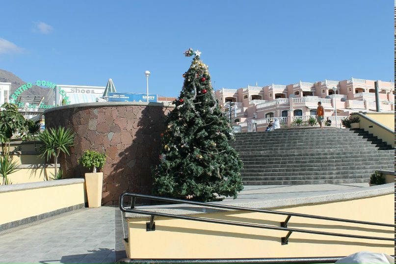 Александра Гордеева | Санкт-Петербург