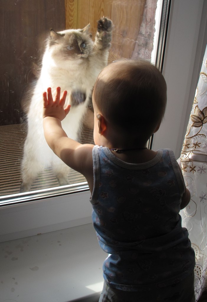 Анастасия Галиханова | Снежинск