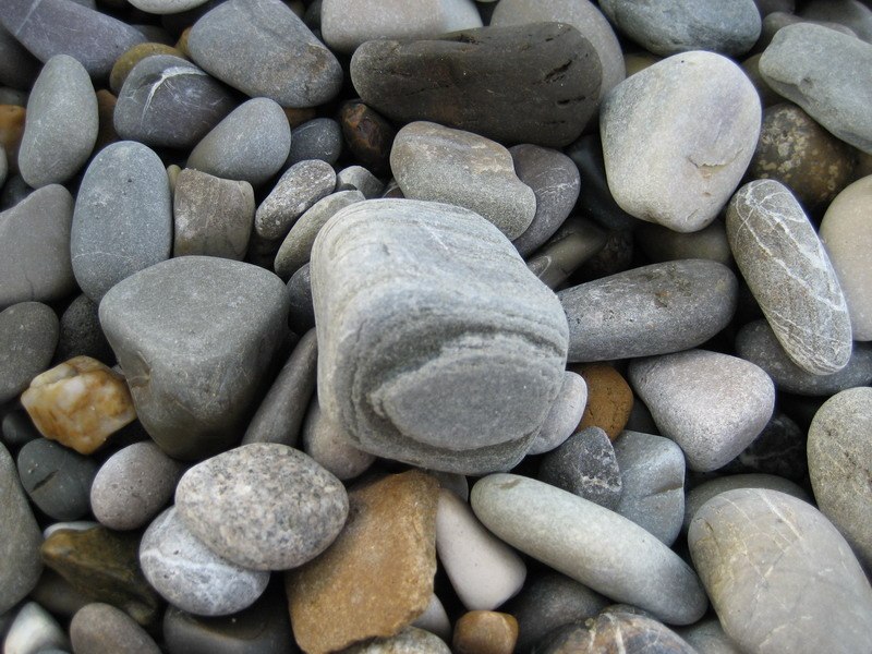 Татьяна Абакарова | Барнаул