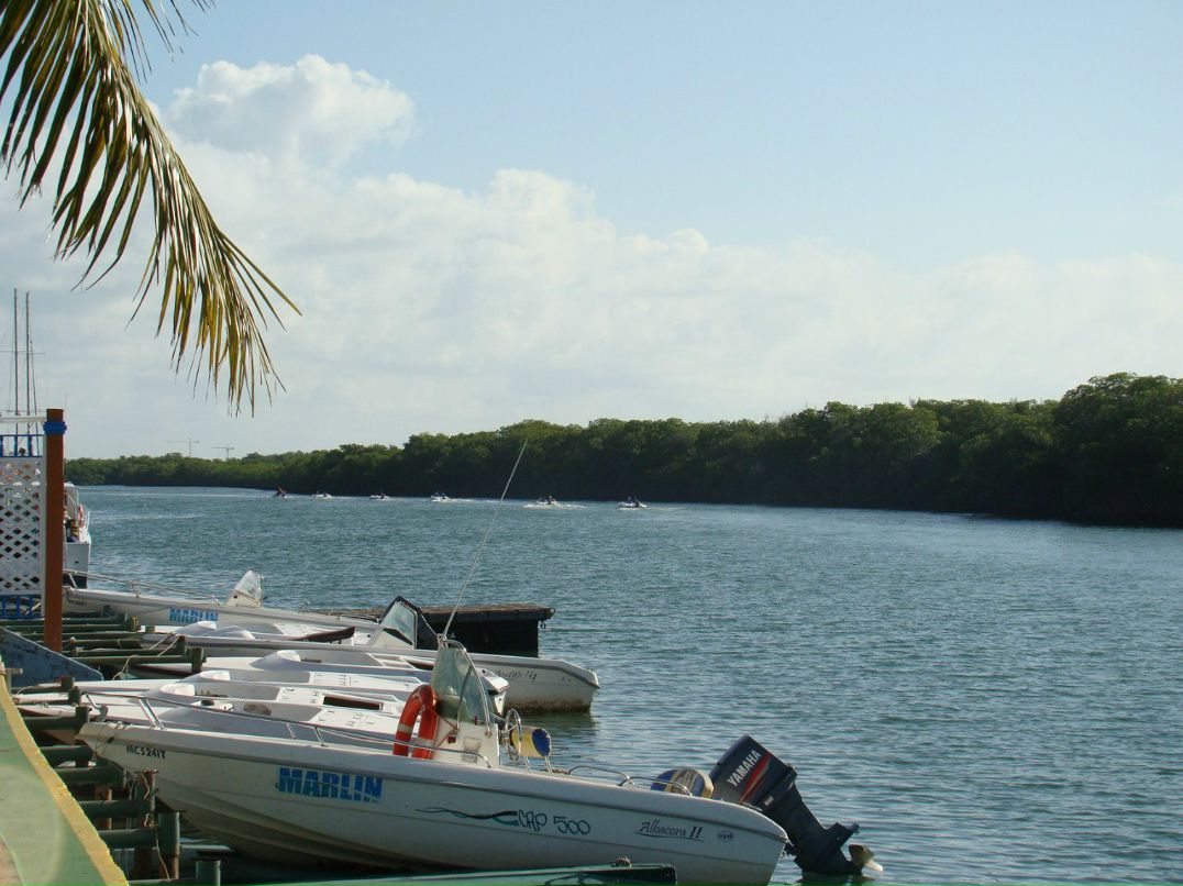 Анна Пашкова | Екатеринбург