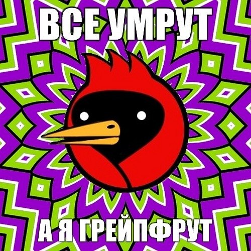 Катя Сенатская | Выборг