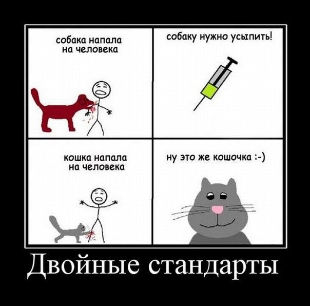 №16, Kim-Hyun Joong, 39 лет, Seoul №16, Kim-Hyun Joong, 39 лет, Seoul