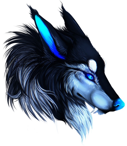 What anime wolf am i
