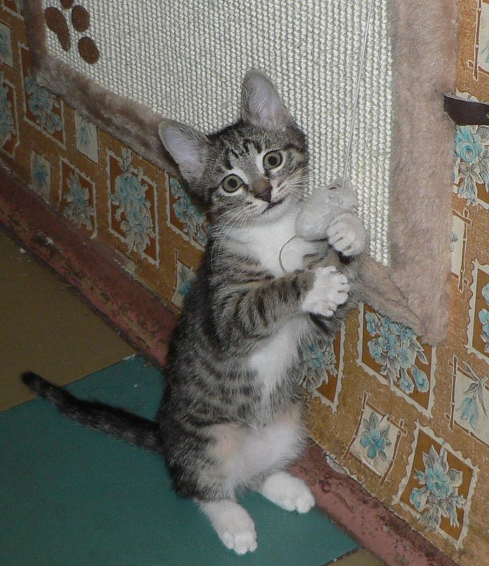 Марина Якубович Jane | Москва