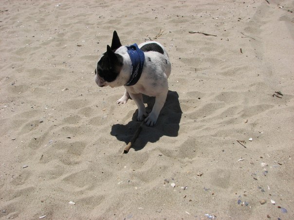 №16, Евгений Баусов, 62 года, Одесса №16, Евгений Баусов, 62 года, Одесса