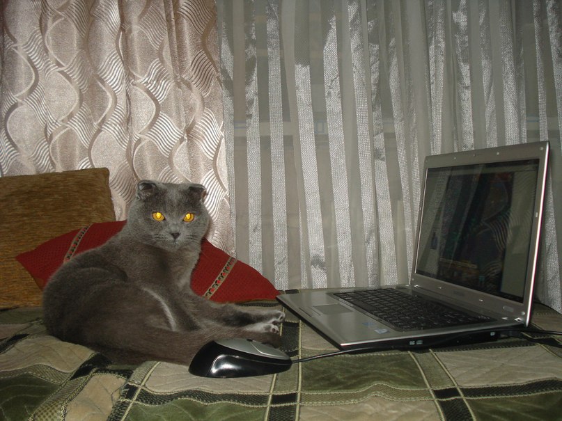 Виктория Грунская | Донецк