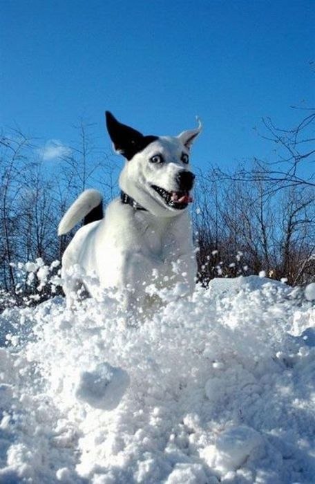 Георгий Саранчук | Днепр (Днепропетровск)