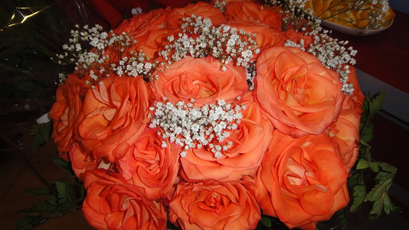 Светлана Горошникова | Нижний Новгород