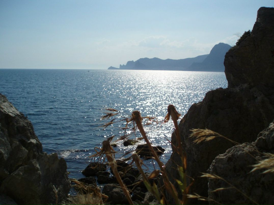 Саша Махно | 