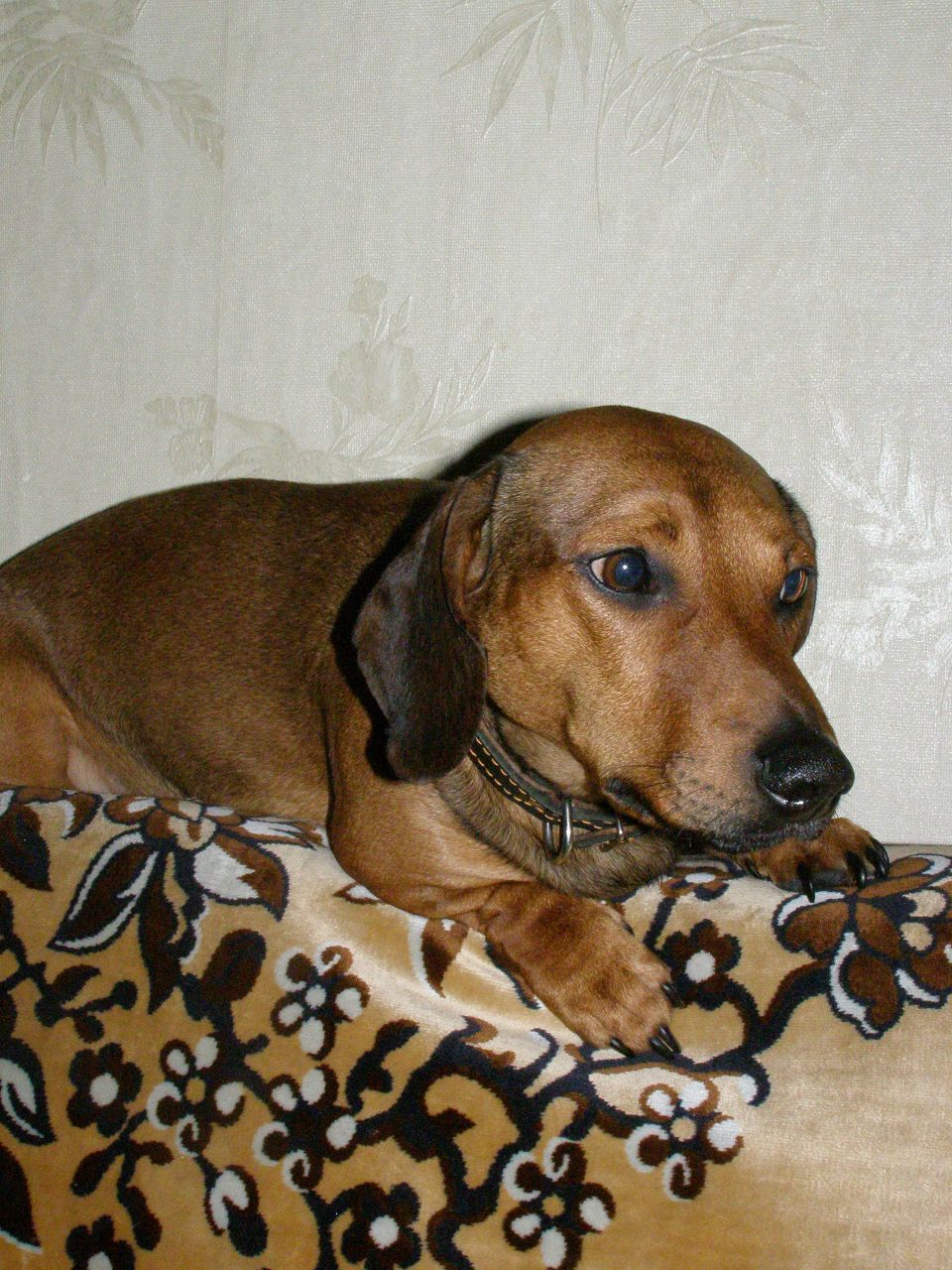 Артем Рыбакин | Чехов