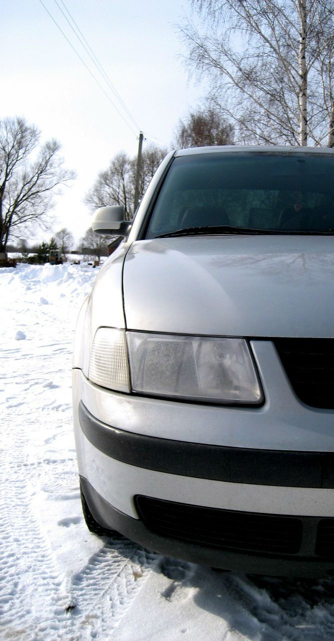 Mishka Tihomirov | Ярославль