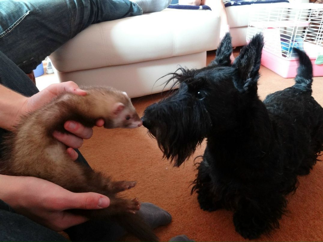 Юра Щелканов | Саратов