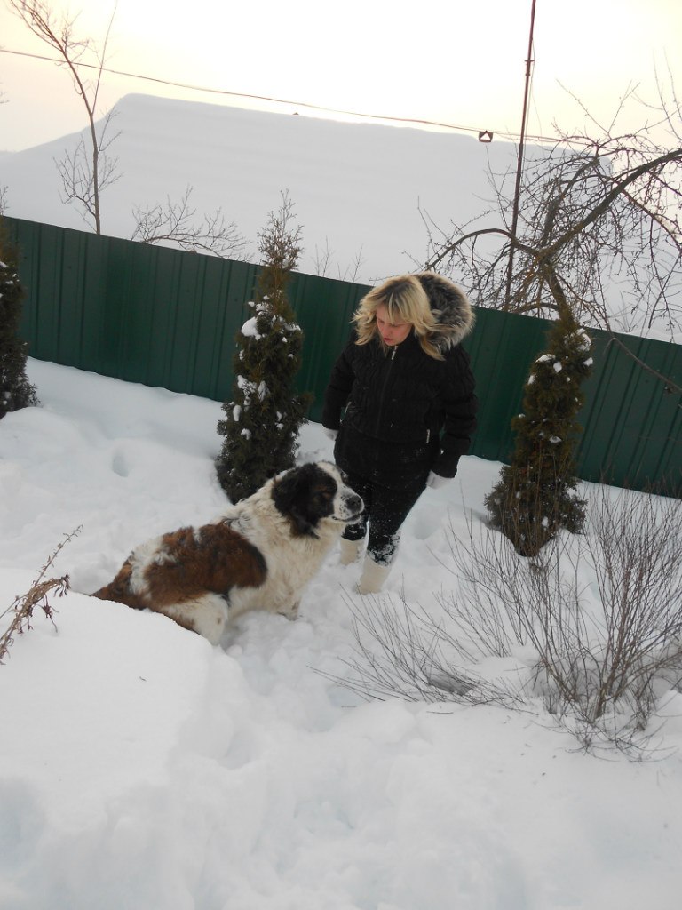 Надія Карпало | Городок