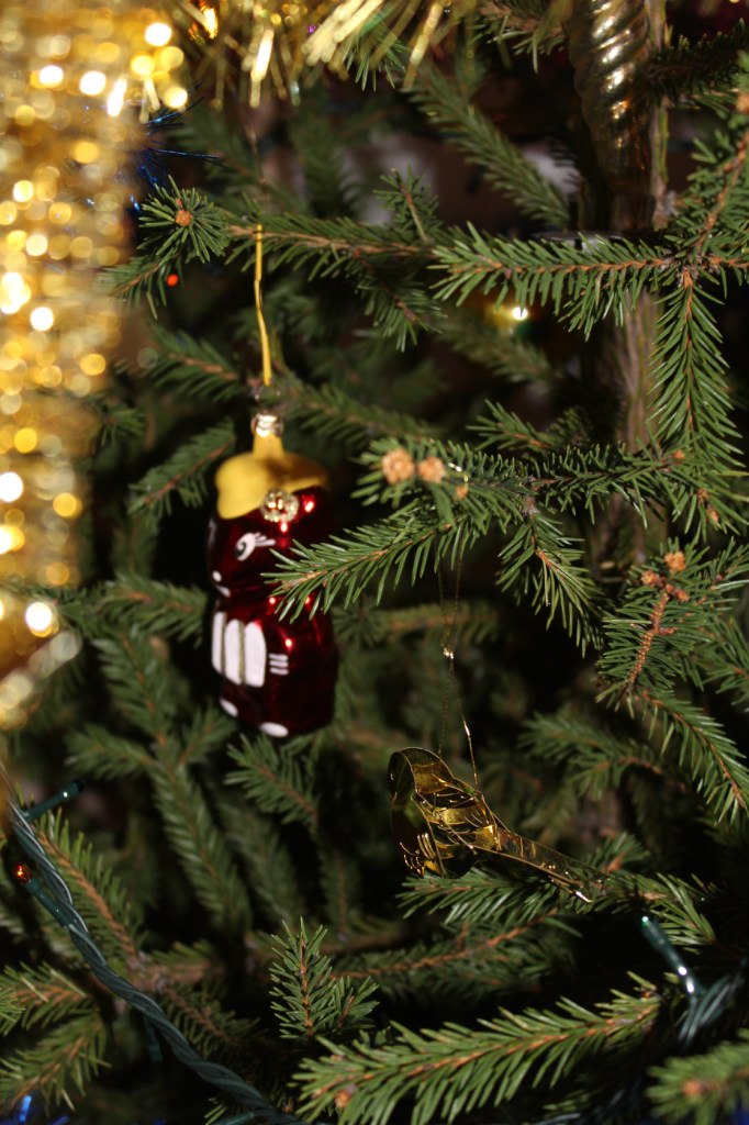 Игорь Шкурыгин | Санкт-Петербург