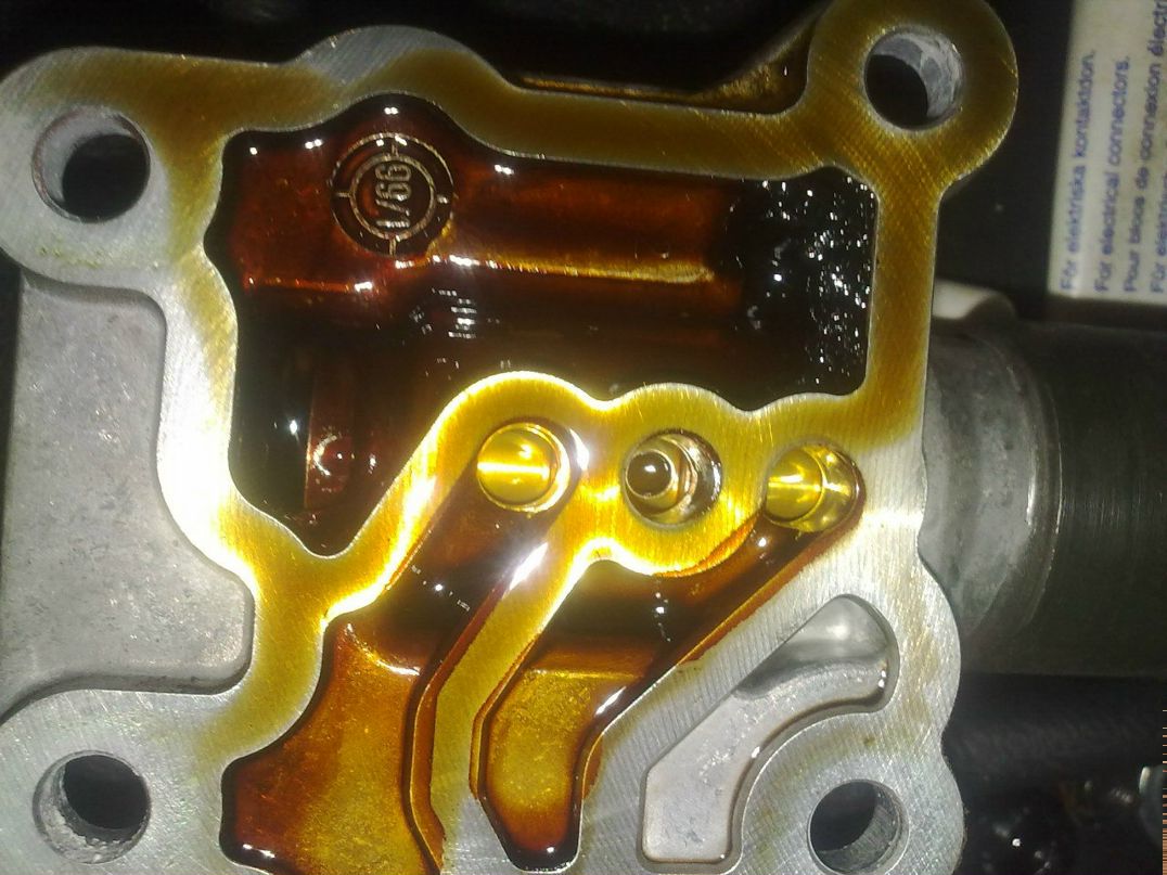 Kujimoshi Medomikushimo | Санкт-Петербург