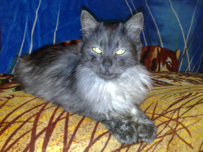 Татьяна Мартынова Валентиновна | Витебск