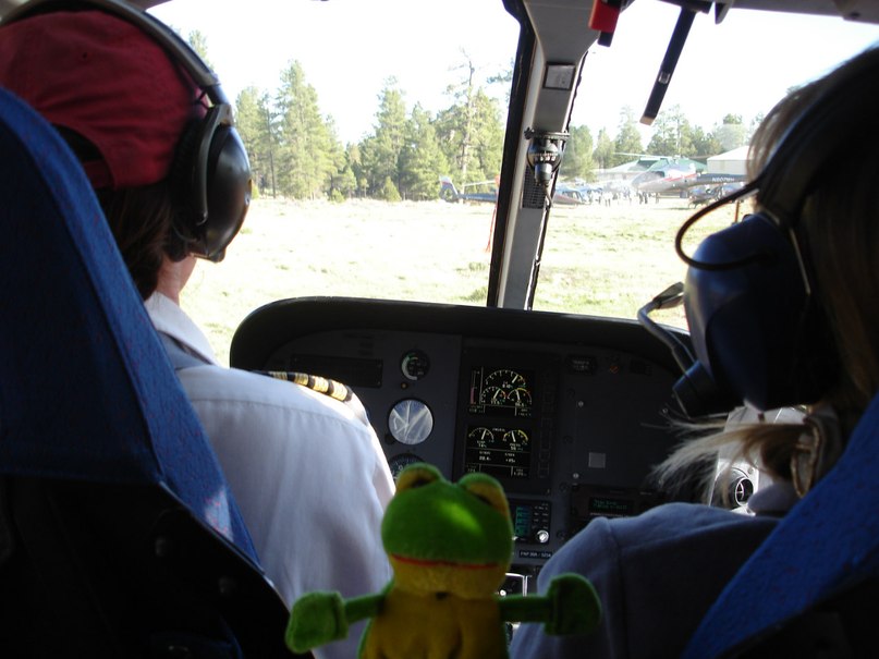 Лягуха Зырящая | Санкт-Петербург