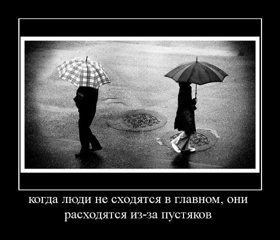 Таня Савенок | 