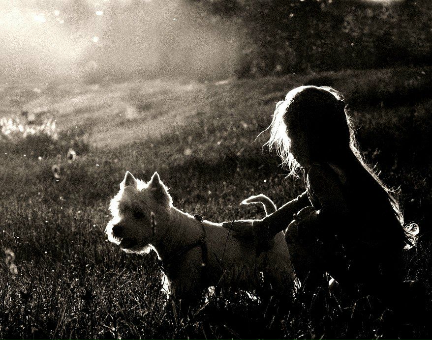 Екатерина Гарах | Минск