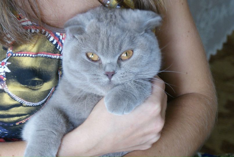 Екатерина Мурзова | Красноярск