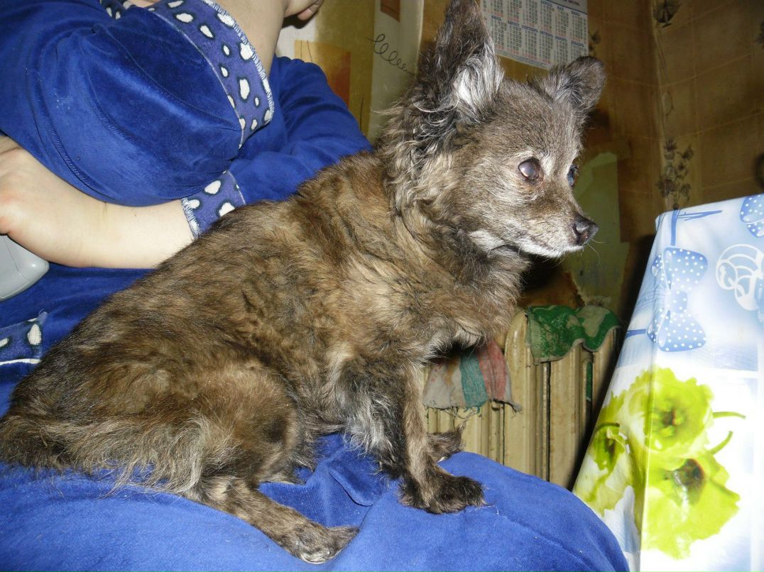 Анна Киршина | Мга