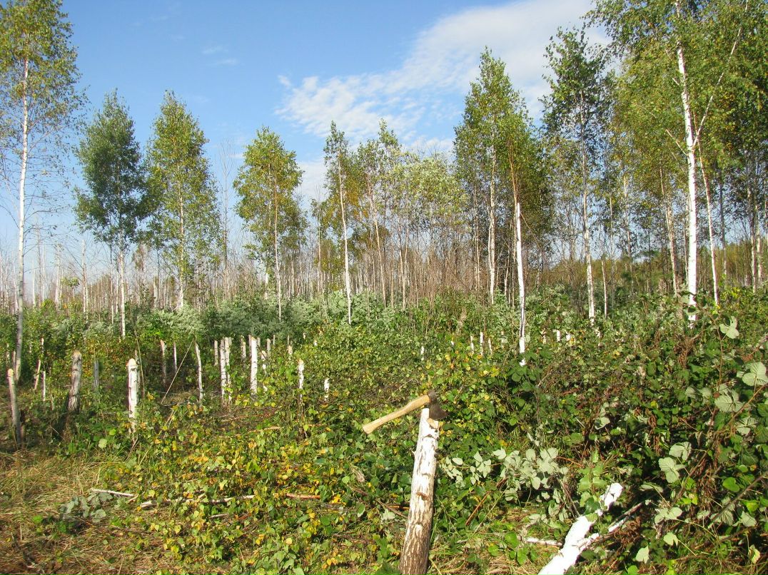 Андрей Василевский | Тюмень