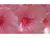 Ирина Мостякова | Казань