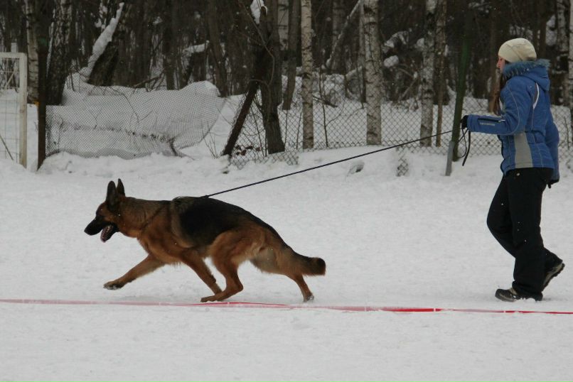 Вика Петлина | Москва