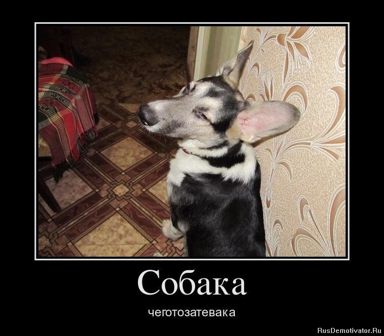 Алексей Шихирин Professuro | Москва