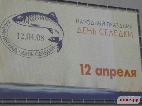 Юлия Митченко хочу_в_лес | Санкт-Петербург