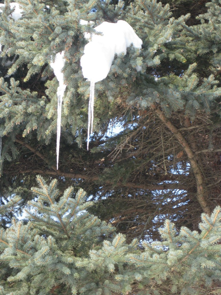 Ира Артюхина .~Игоревна~. | Москва