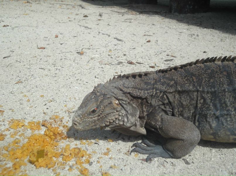 Рома Дашкевич | Мурманск