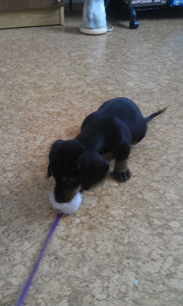 Лена Малявская | Николаев