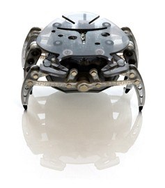 Андрей Рожков | Санкт-Петербург