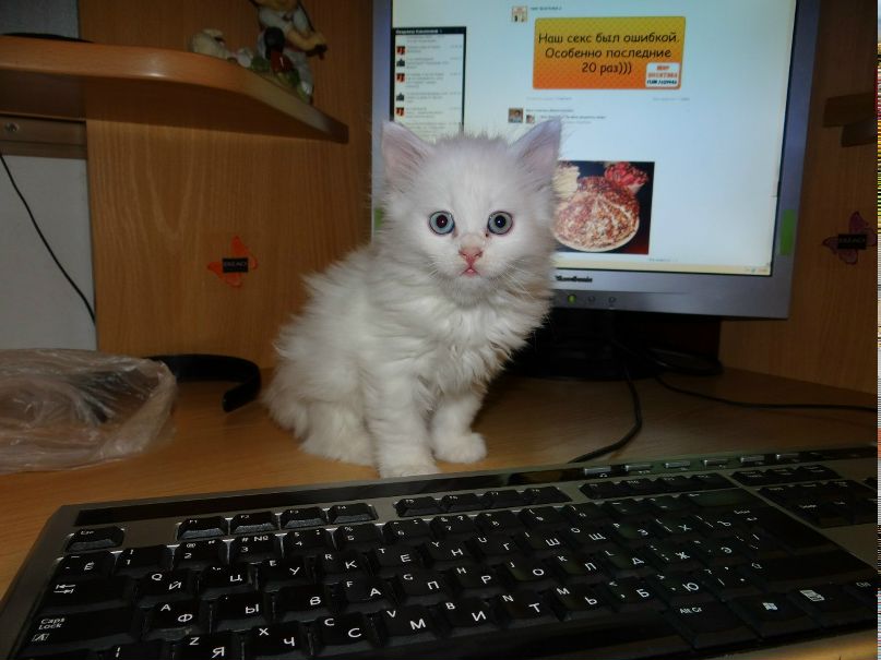 Роза Коваленкова | Наро-Фоминск