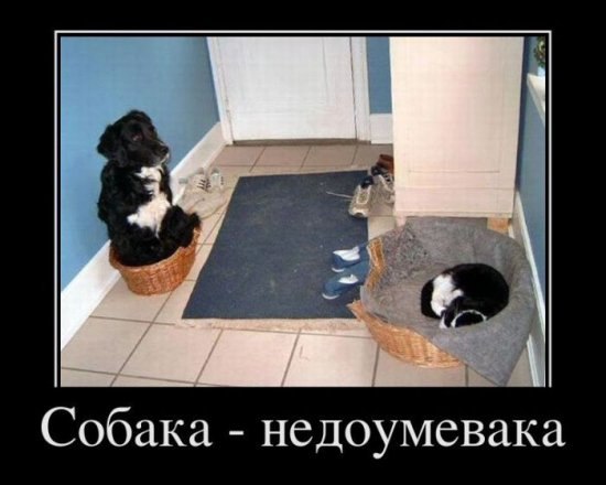 Алексей Галактионов | Санкт-Петербург