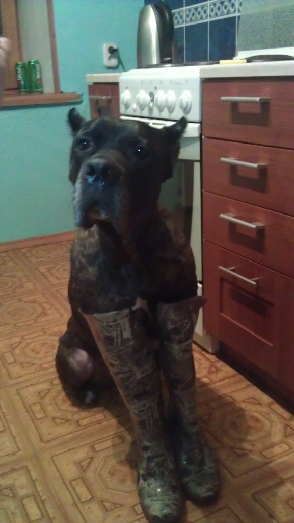 Кристина Бурдыко | Нарьян-Мар